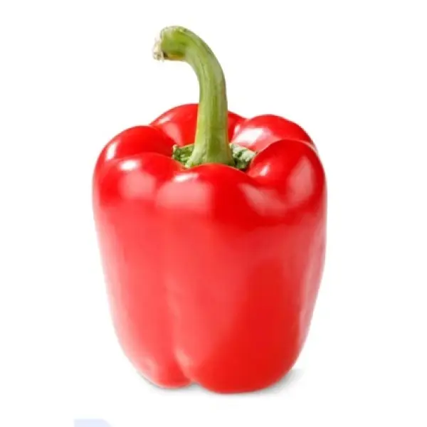 Bell Pepper